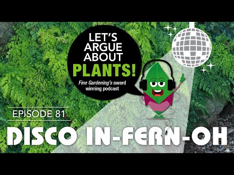 Episode 81: Disco in-FERN-o