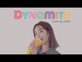 Choa AOA - Dynamite (Bangtan Boys Cover)