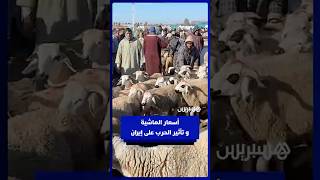 من سوق أربعاء السويهلة ناحية مراكش   كسابة يؤكدون استقرار الأسعار رغم تأثير الحرب على إيران thumbnail