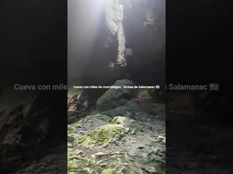 Grutas de Salamanca , ruta 13 , departamento de Maldonado 🇺🇾 . Videitos cultura uruguaya .