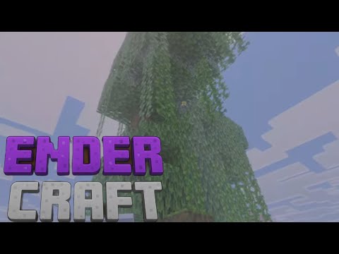Mangrovenbaum | Ender Craft #18