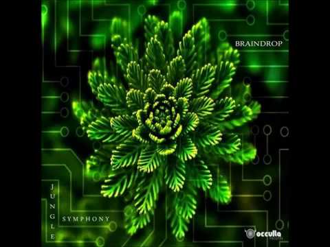 Braindrop-Wooden Vibration