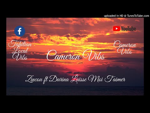 Zincou ft Darina  Laisse Moi t'Aimer 2K20. mp3