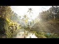 Lemon Tree Fools Garden Mike Wit Ft Garabatto Remix