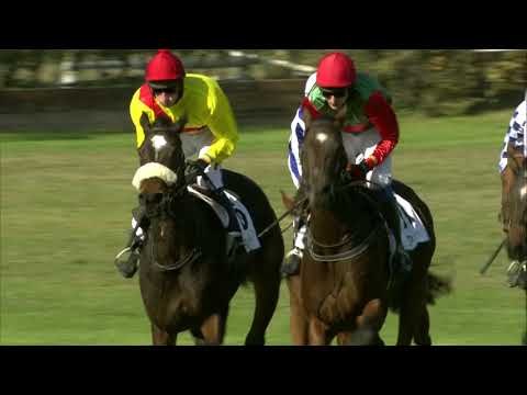 PE, 14. 10. 2018, 2. dostih - Cena společnosti PARAGAN – Cena Laty Brandisové