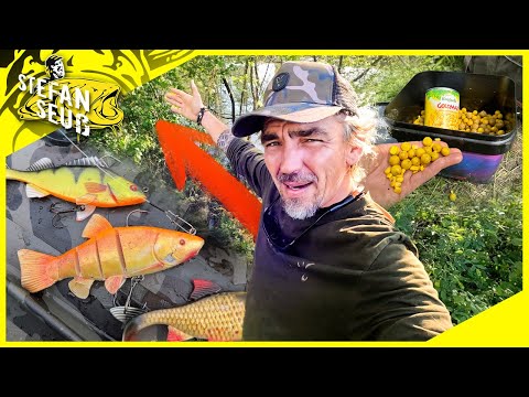 UNBEKANNTER WALDSEE ‼️ Welche Fische kann ich FANGEN❓Karpfen und Hechtangeln am neuen Gewässer