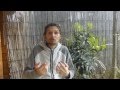 Perdre ou prendre du poids , une question de physiologie et de santé ! - www.regenere.org