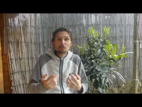 comment gagner 20 kg