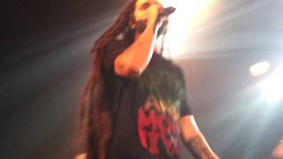 Alborosie - To Whom It May Concern Live Barcelona 2013