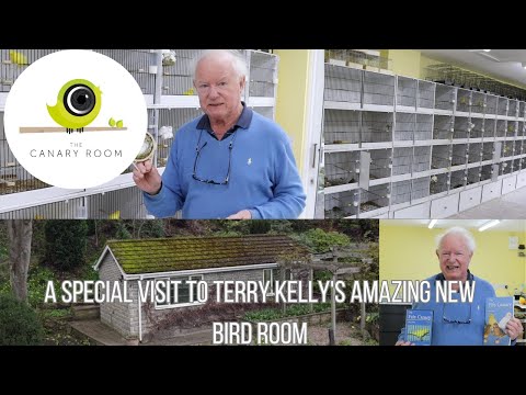 A Visit to Terry Kelly's Amazing New Birdroom - A Canary Room Special