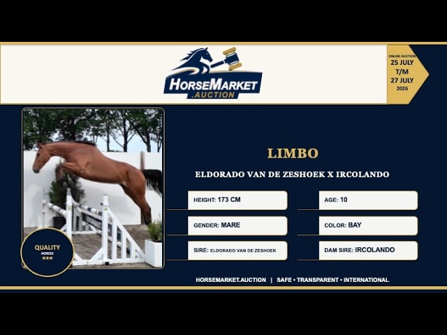 Limbo