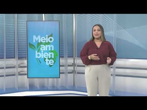 CNT Notícias SP de 06/06/2025 na Íntegra