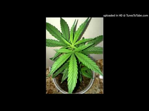 Dschinghis Khan – Moscau ( TBM remix )