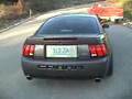 2003 Cobra Video