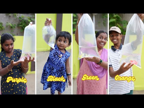 Color Fish Buying Challenge | யாருகிட்ட அதிகமான கலர் இருக்கு ?? Mrs.Abi Time