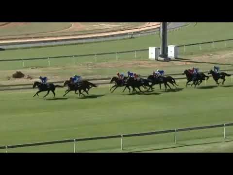 GOT THE GREENLIGHT - 2021 H F OPPENHEIMER HORSE CHESTNUT STAKES (Grade 1)