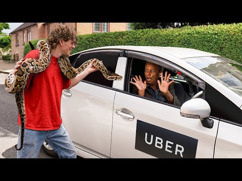 I Tested ‘PET FRIENDLY’ Ubers With Dangerous Animals