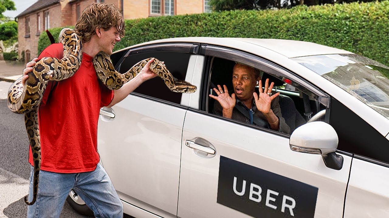 I Tested ‘Pet Friendly’ Ubers With Dangerous Animals