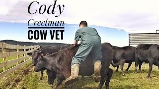 THE WILDEST COWS I'VE EVER WORKED WITH!!! #VLOG113