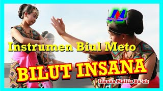 Download lagu INSTRUMEN BIUL METO|| BILUT INSANA||♡♡ Insana Malila baek♡♡ mp3