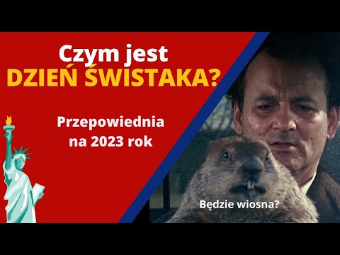 Dzień Świstaka w USA - o co chodzi? Przepowiednia na 2023 rok