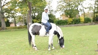 I'm On A Horse