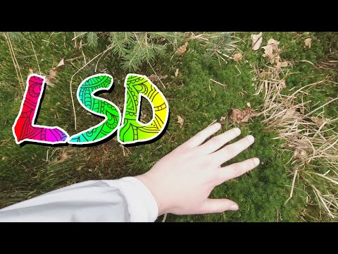 Ich war LSD Tripsitter | Trip Aufnahmen