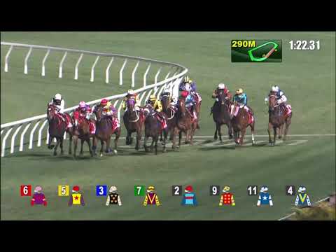 27/1/2021 (381) Delightful Laos - Derek Leung