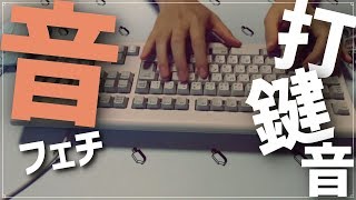 【ASMR/音フェチ】キーボード タイピング音 【NEC/ガレリア】
