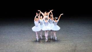 Vienna State Opera, Funny Ballet. Слава Украине!