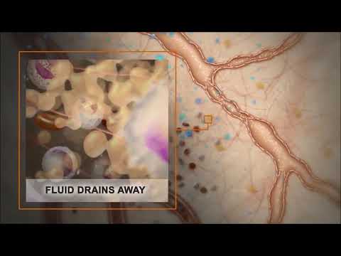 Homecare Shop Malaysia - The Science of Incrediwear