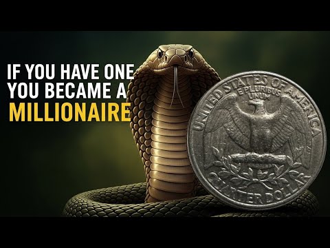 1964 Silver Quarters Worth BIG Money! | Rare Mint Errors & Valuable Coins You Must Check Now