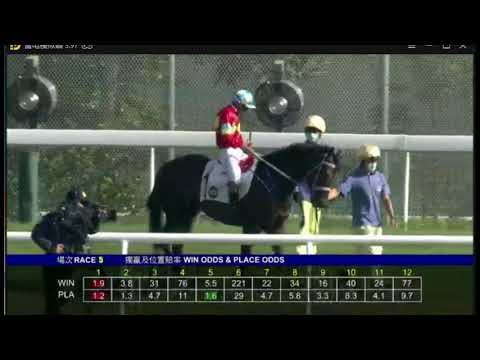 2020 12 06 第五場 郭能 神駿馬車