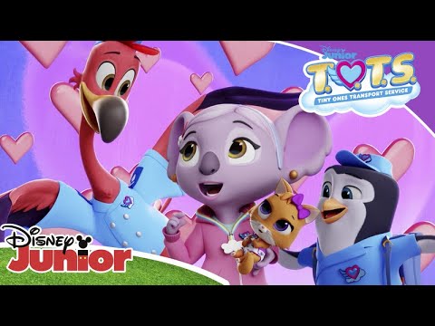 T.O.T.S | Music Compilation | Disney Junior Arabia