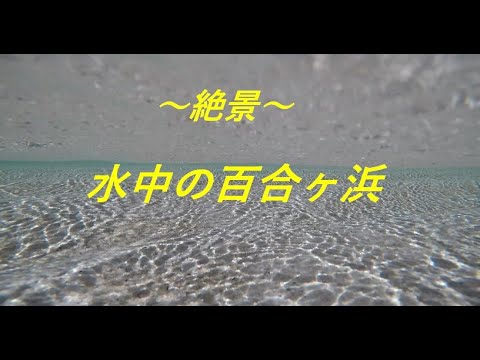 【ヨロン島紹介】水中の百合ヶ浜