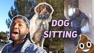 I TRIED DOG SITTING