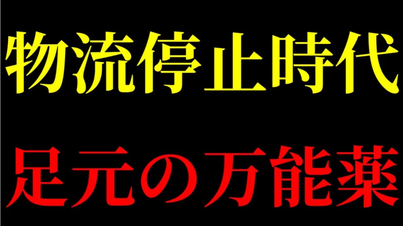【最強万能薬】ホルムズ海峡封鎖の足音。物流が止まるサバイバル時代に、あなたの命を救う「その辺の草」