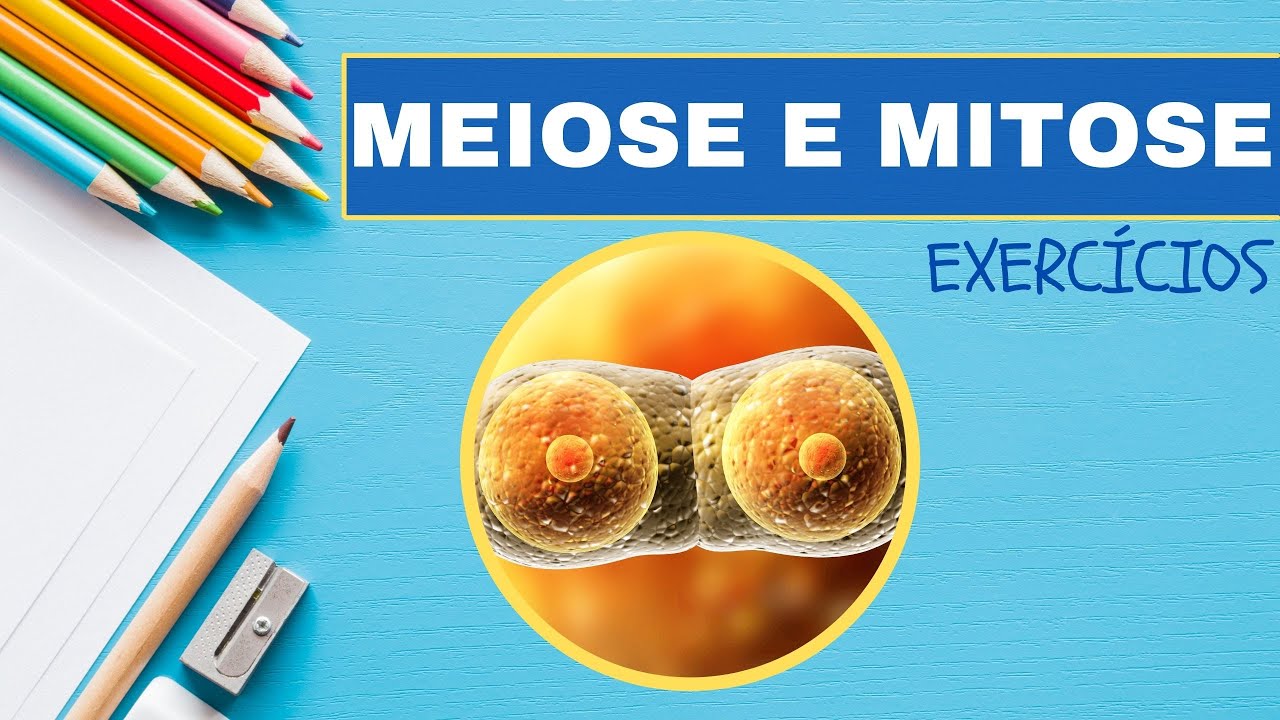 MEIOSE E MITOSE: Resolução de exercícios [parte 1]