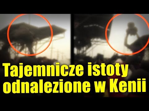 Jak pozbyć się stłuczki na palcach Valgus oraz materiały