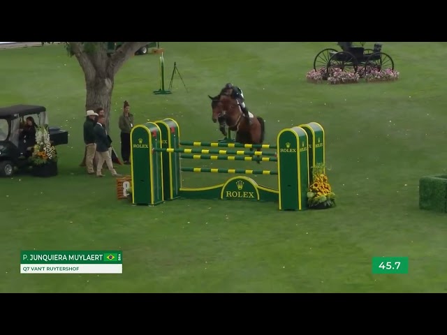 The half-brother of the grandmother of this embryo is the CSI 1.60m jumping horse Q7 van't Ruytershof with rider Pedro Junqueira Muylaert.