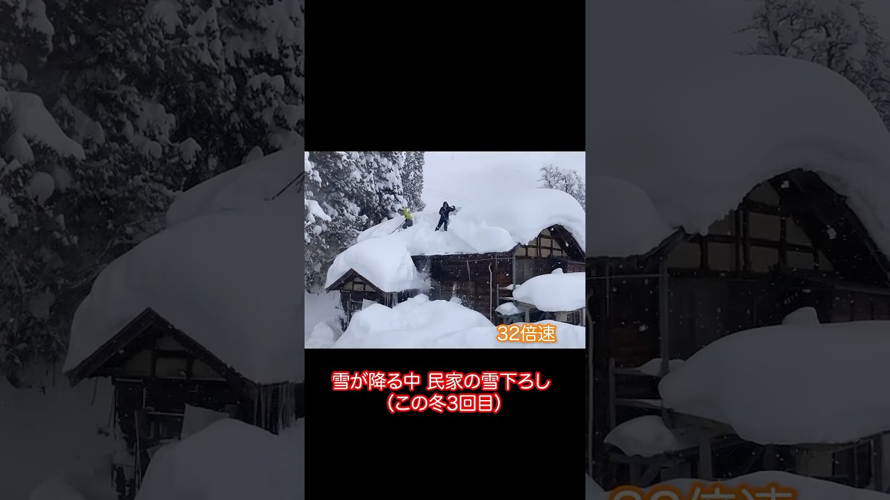 《32倍速》民家雪下ろし（この冬3回目） 2026年1月31日　#shorts