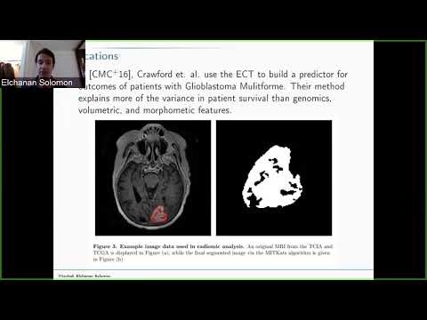 Elchanan Solomon (10/16/18): An intrinsic persistent homology transform