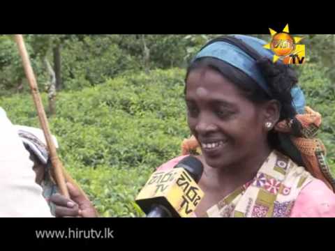 Hiru TV