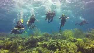 preview picture of video 'The 2014 MC spring break trip to Bonaire!'