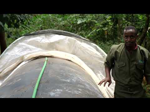 BIOGAS INTERNATIONAL