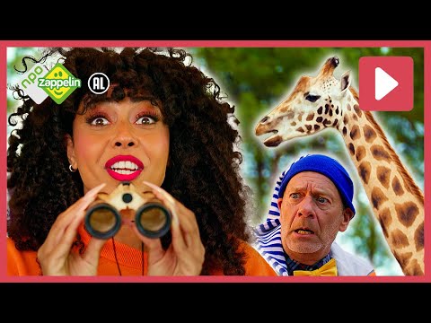 OP SAFARI 🦁 🐆| Zing Met Zappelin | NPO Zappelin