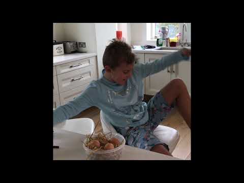 Dinoworld in the backyard: episode 4 triceratops escape.