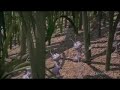 A Bug Life Trailer Widescreen
