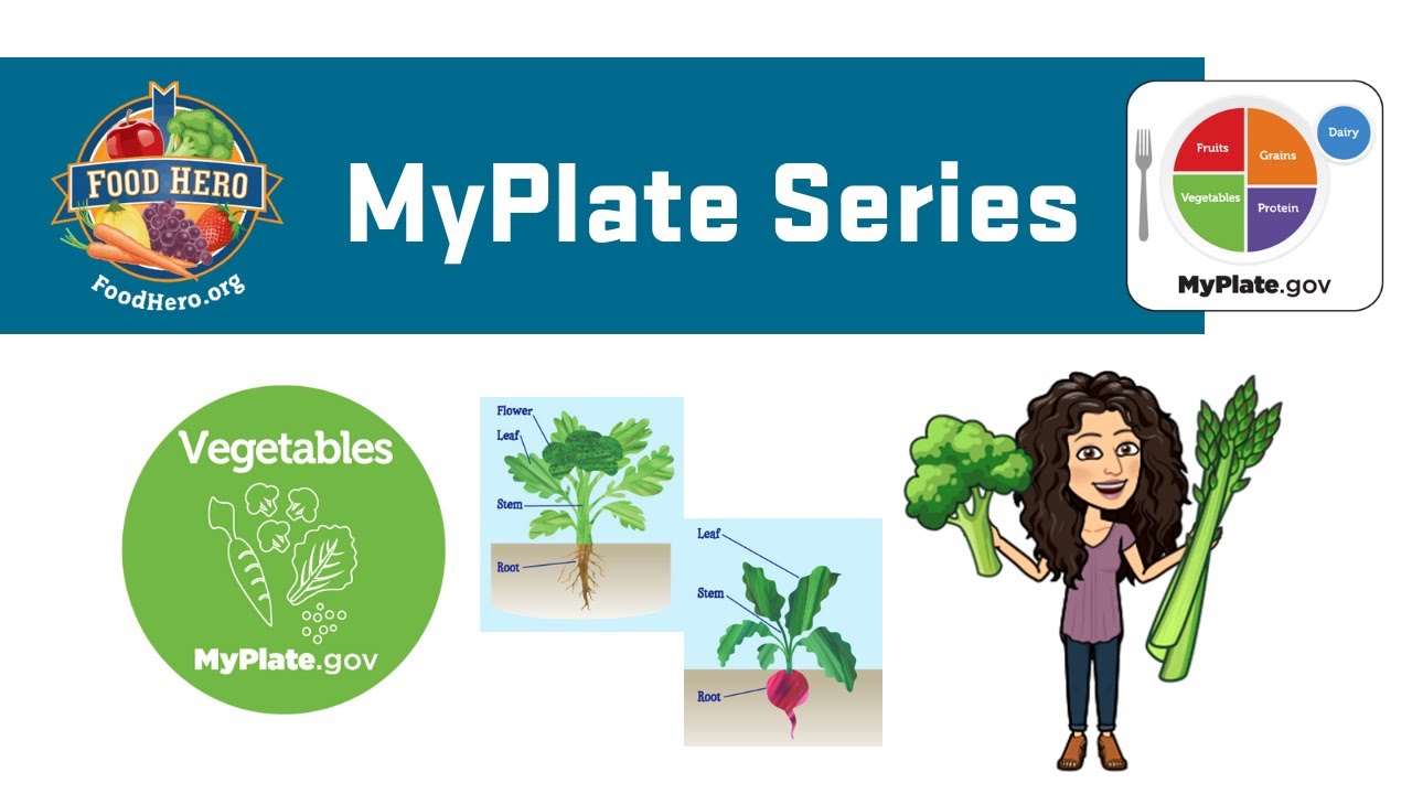 MyPlate - Vegetable Group