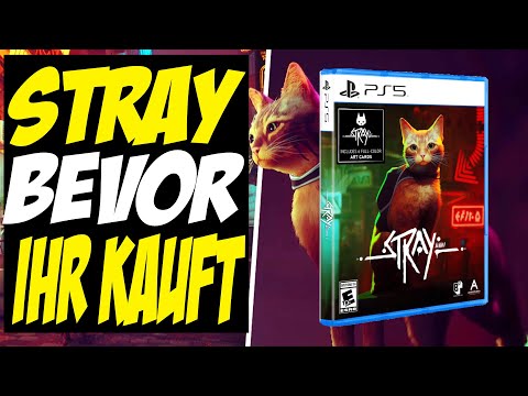 Stray - BEVOR ihr kauft - Dinge die ihr WISSEN solltet - ALLE Infos